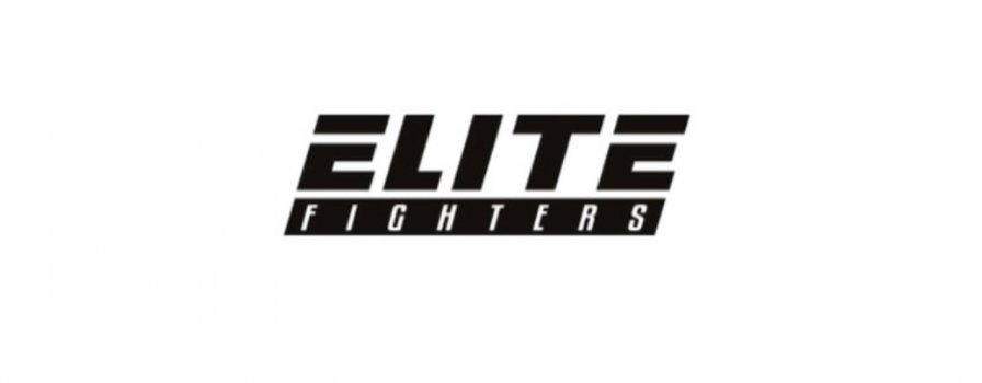 Gala MMA Elite Fighters. Kto walczy? [Data, typy, stream online]